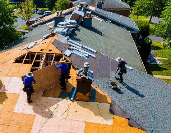 TEE-roofers